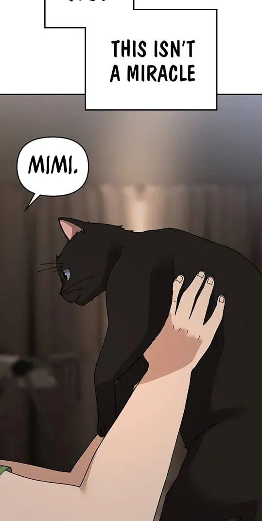 Chapter 31 — page 114