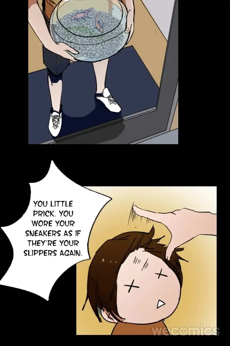 Chapter 14 — page 17