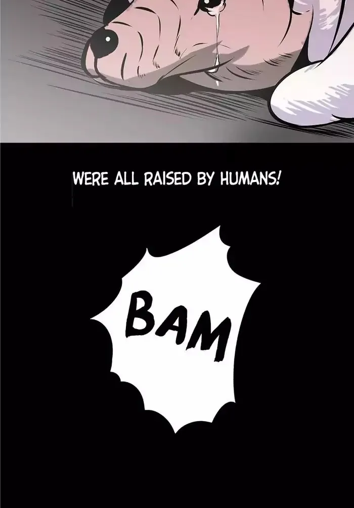 Chapter 4 — page 36