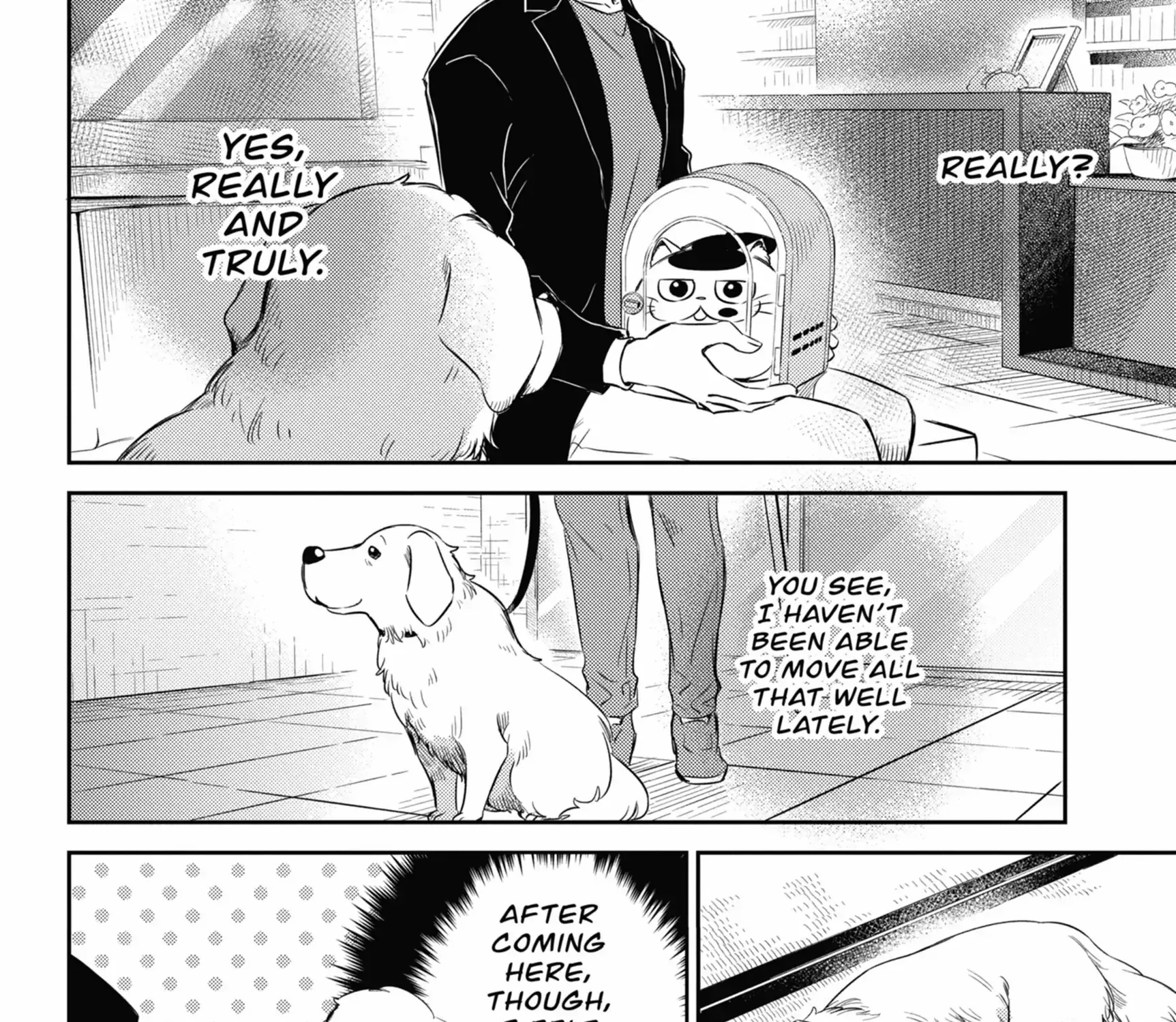 Chapter 113 — page 35