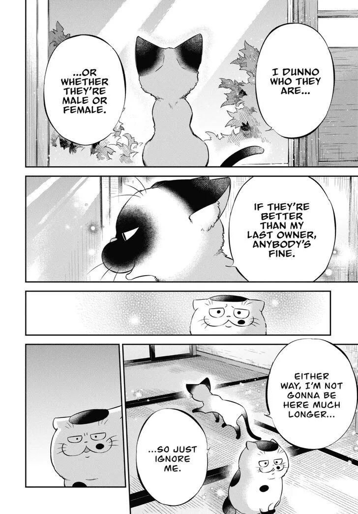 Chapter 137 — page 16