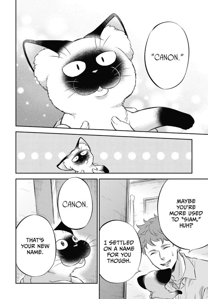 Chapter 137 — page 22
