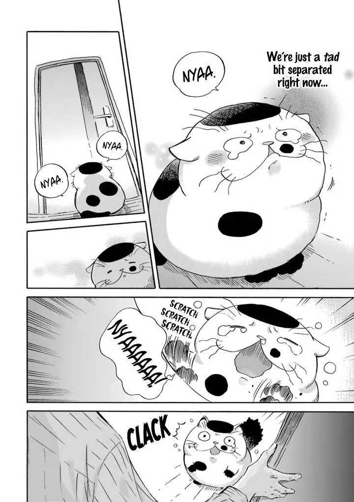 Chapter 15 — page 3