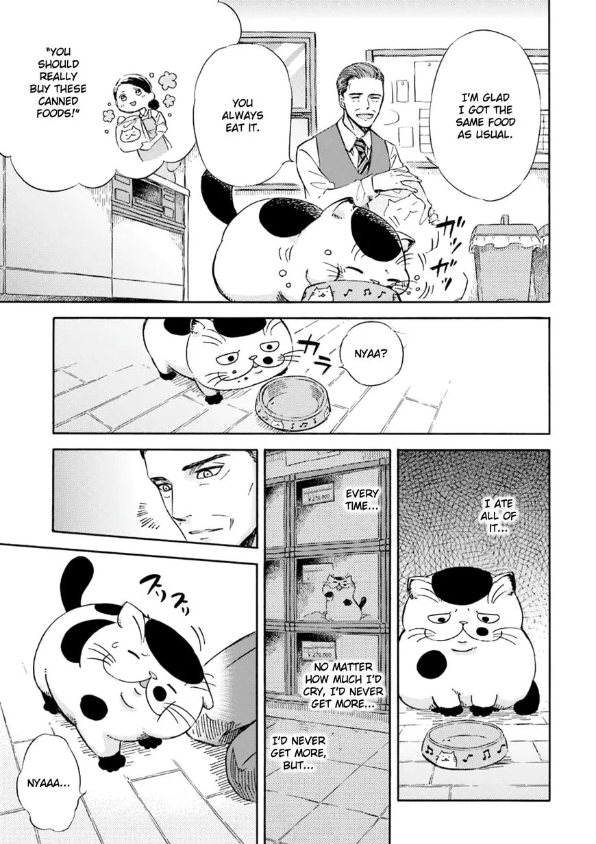 Chapter 5 — page 3