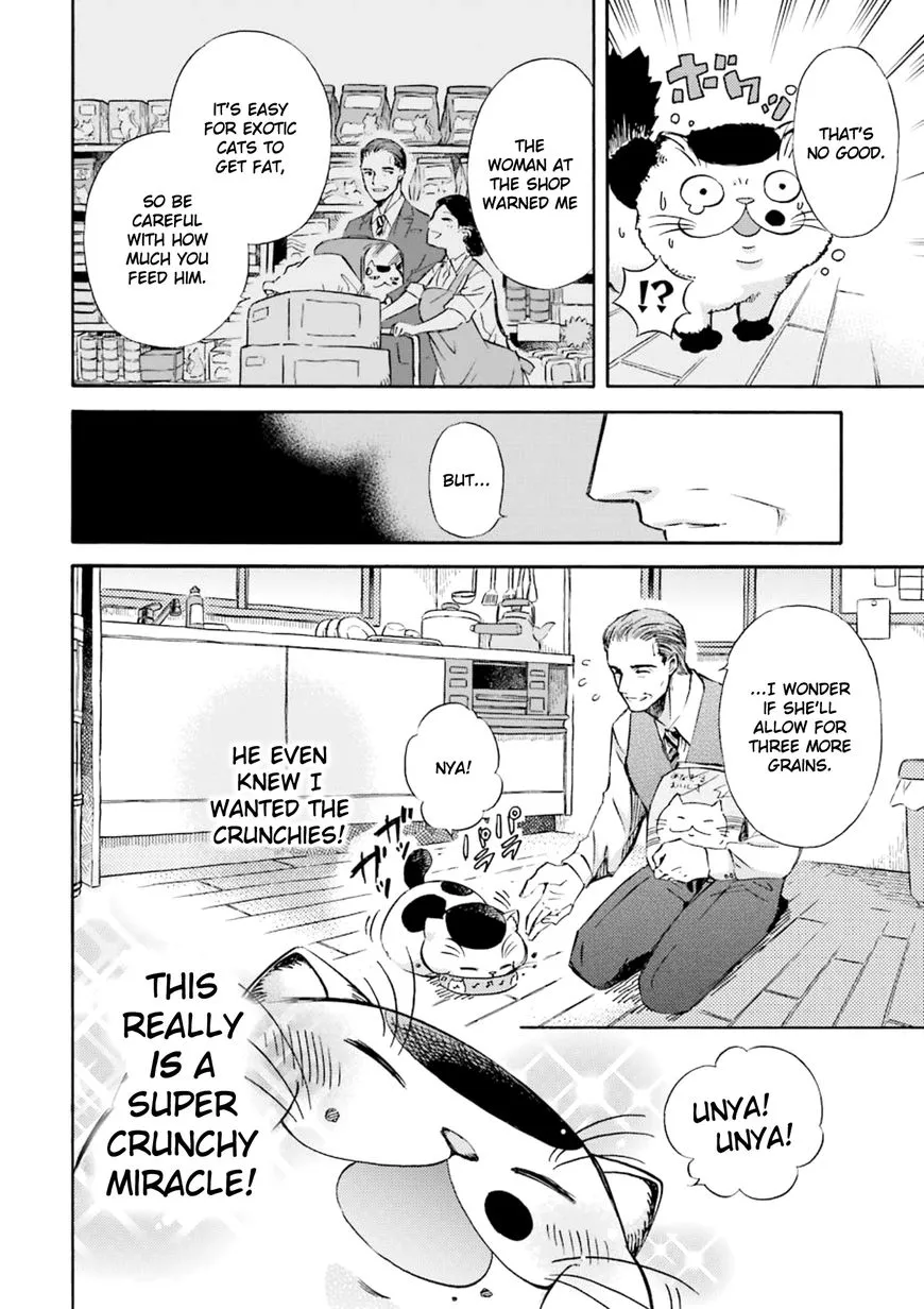 Chapter 5 — page 4