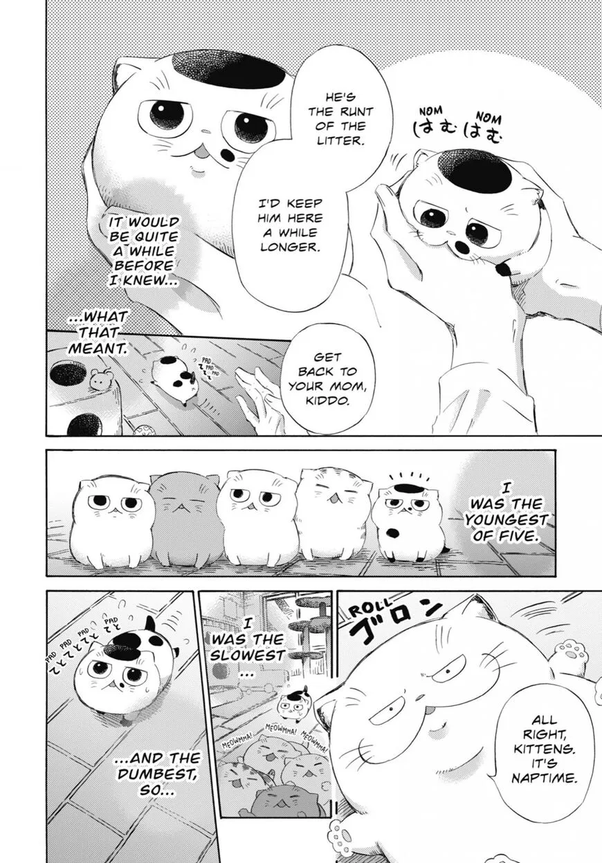 Chapter 52 — page 2
