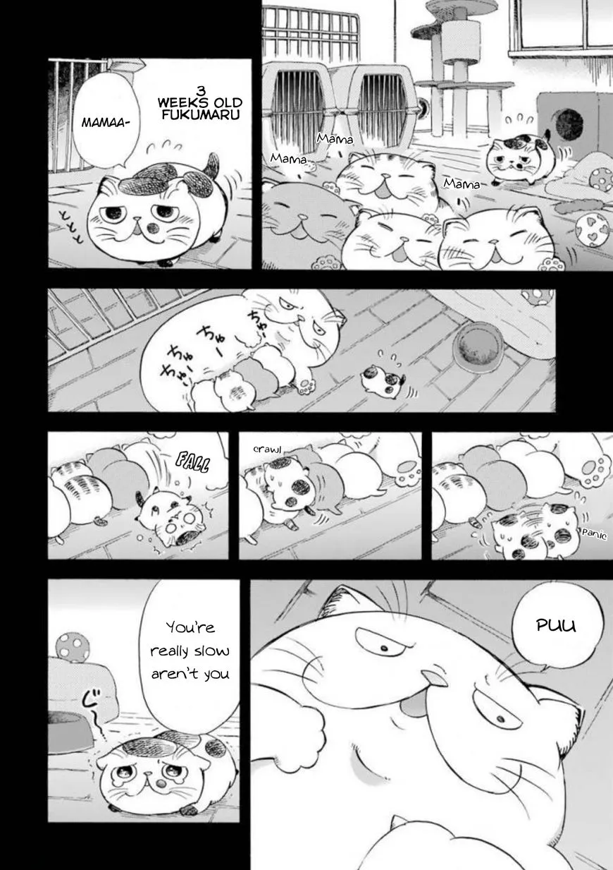 Chapter 8 — page 2