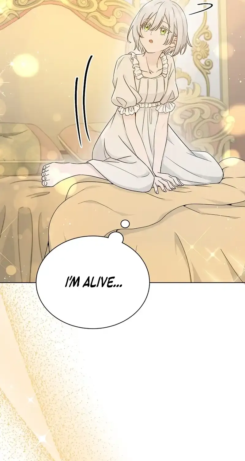 Chapter 2 — page 28