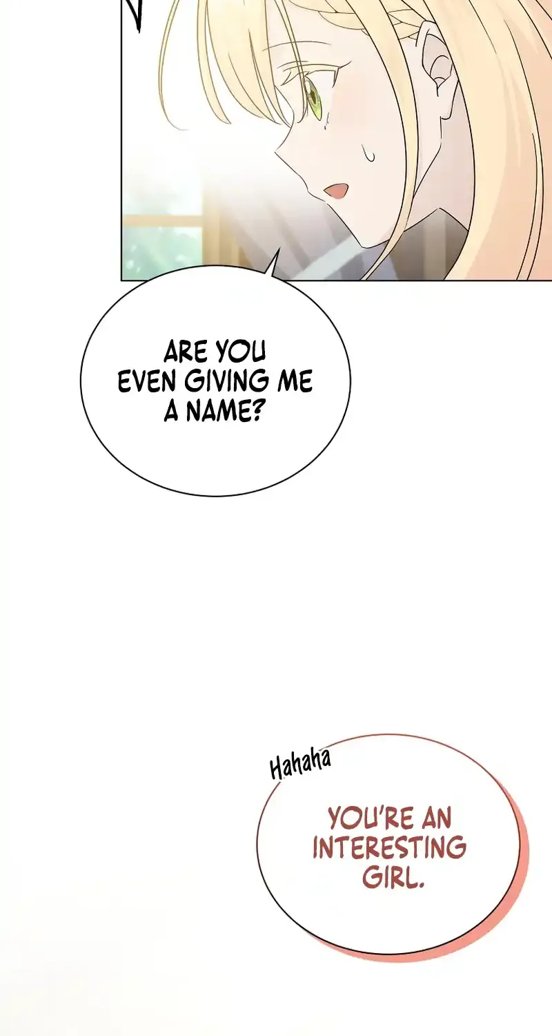 Chapter 2 — page 42