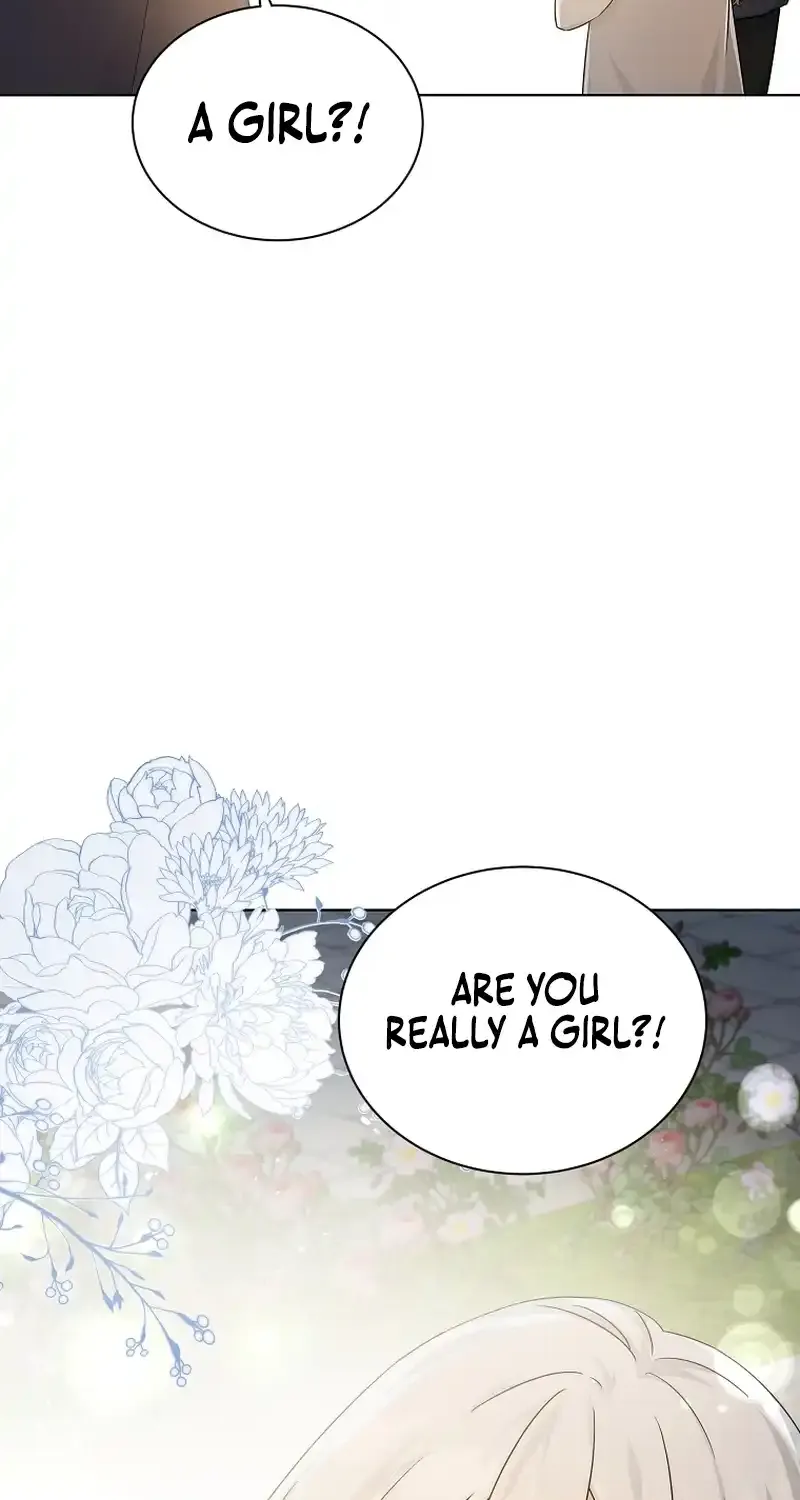 Chapter 2 — page 8