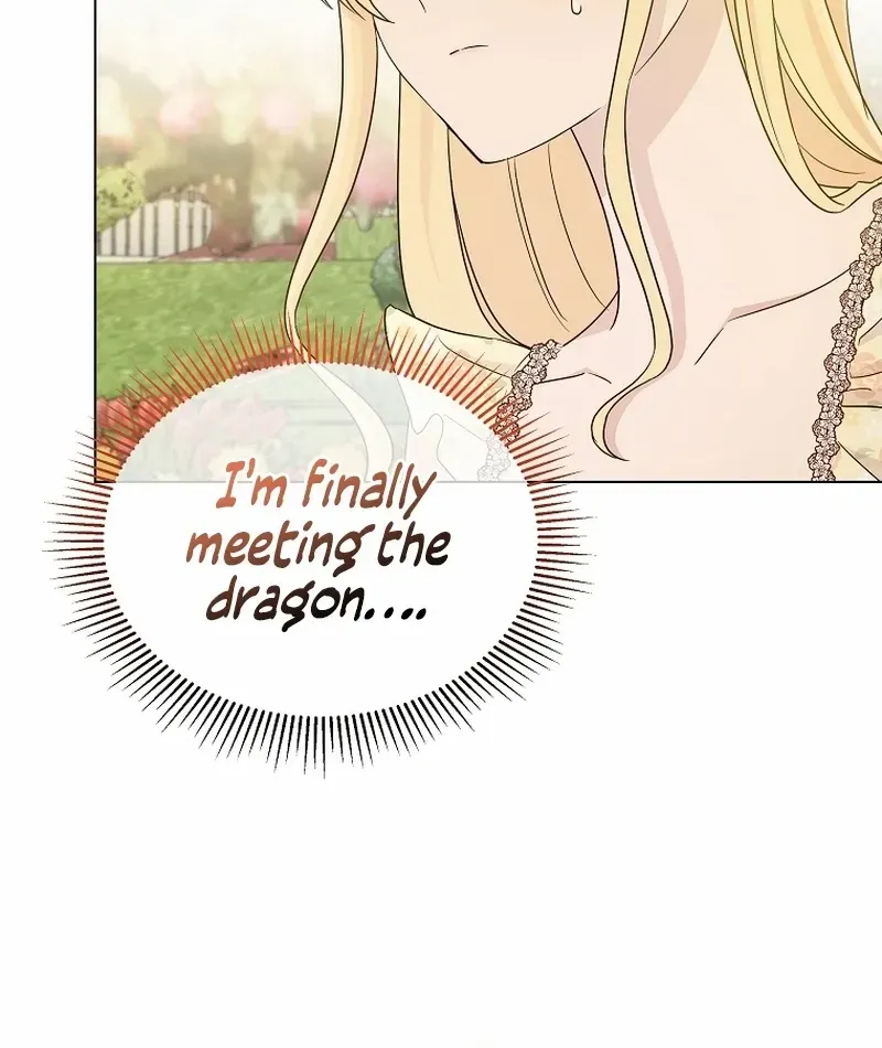 Chapter 3 — page 61