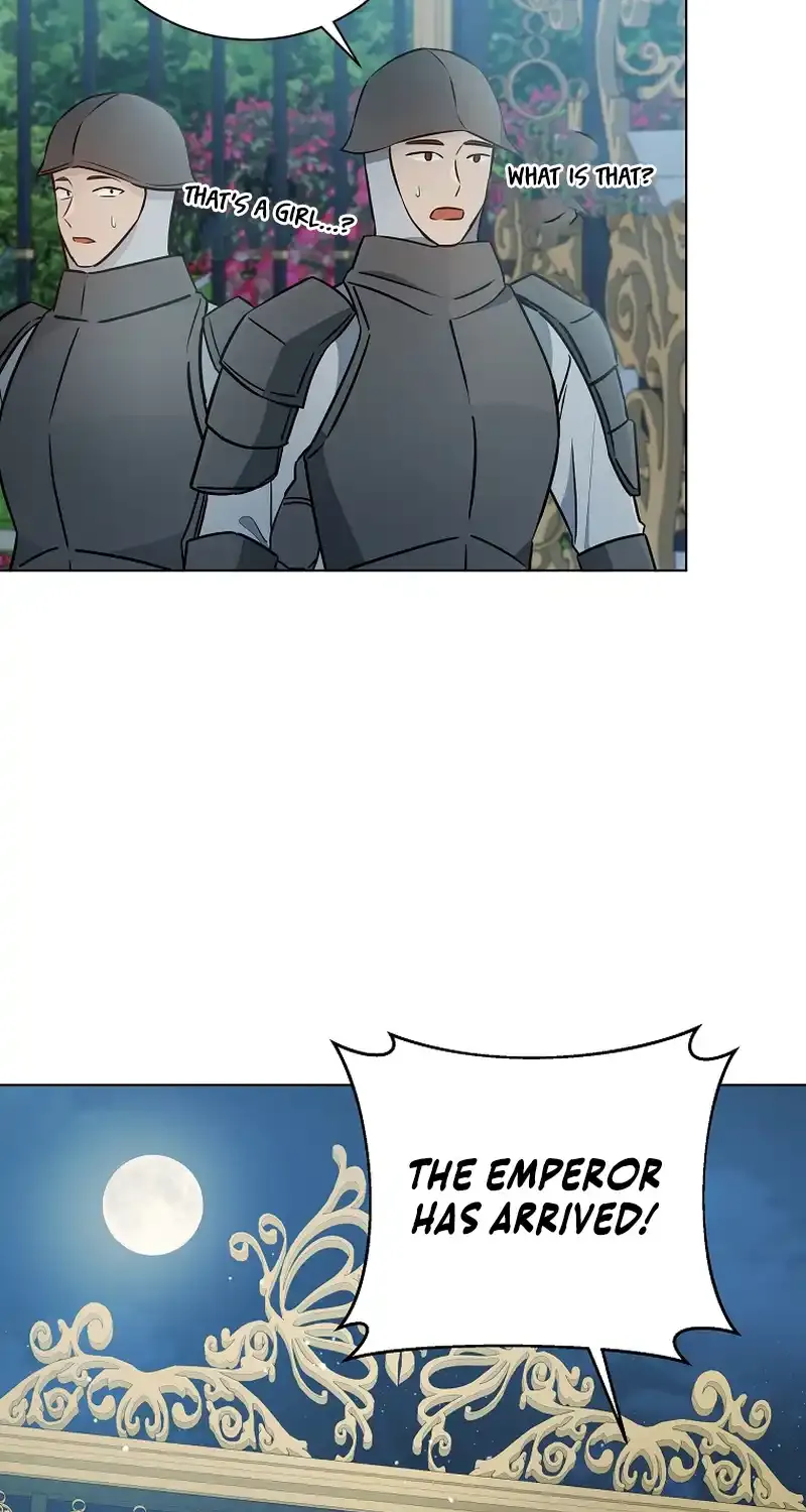 Chapter 8 — page 53