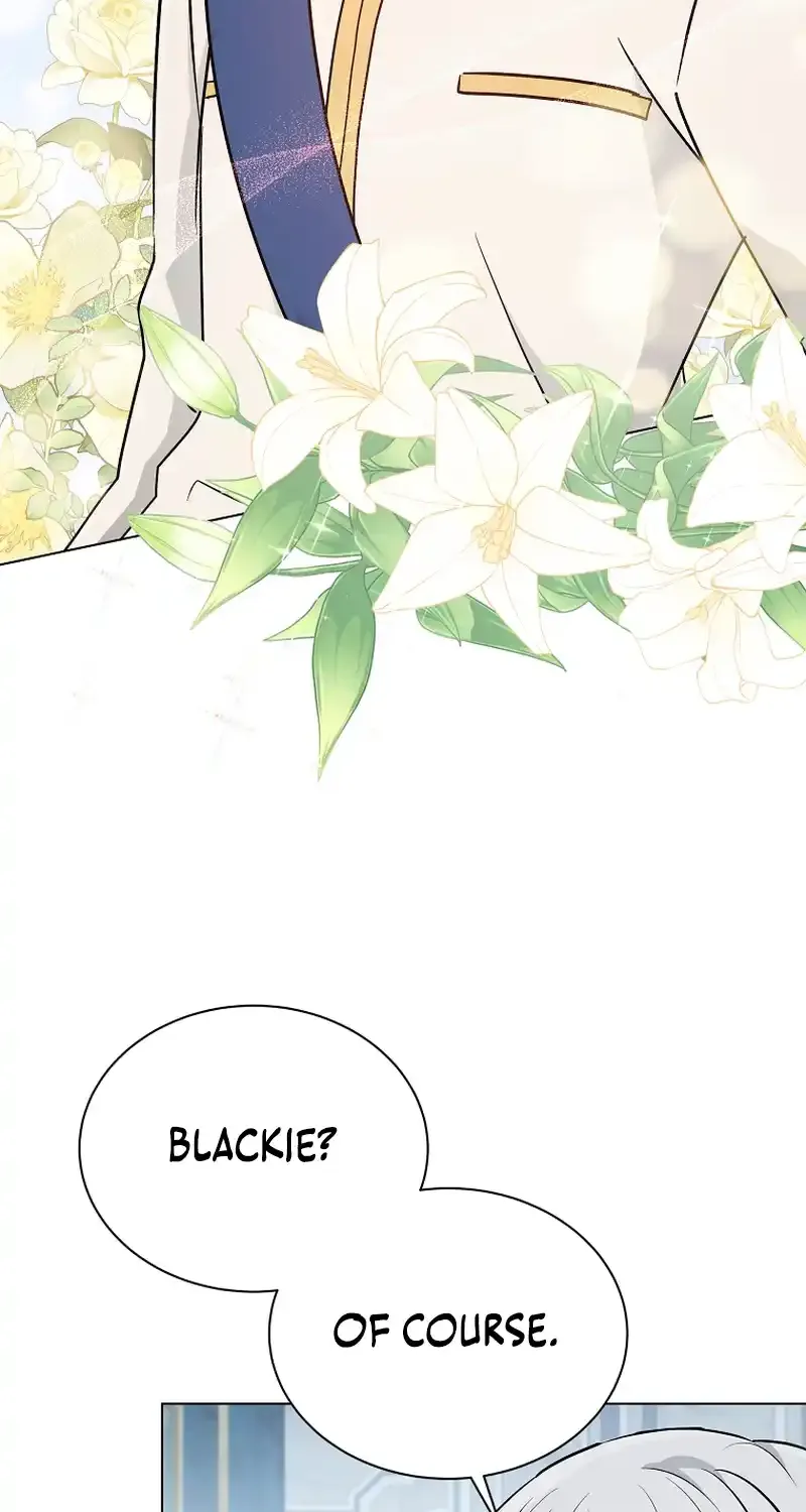 Chapter 8 — page 91