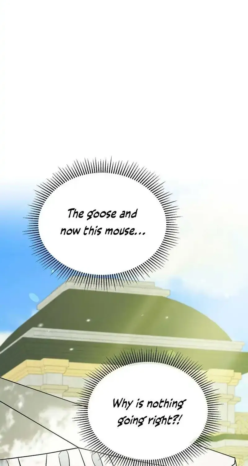 Chapter 11 — page 49