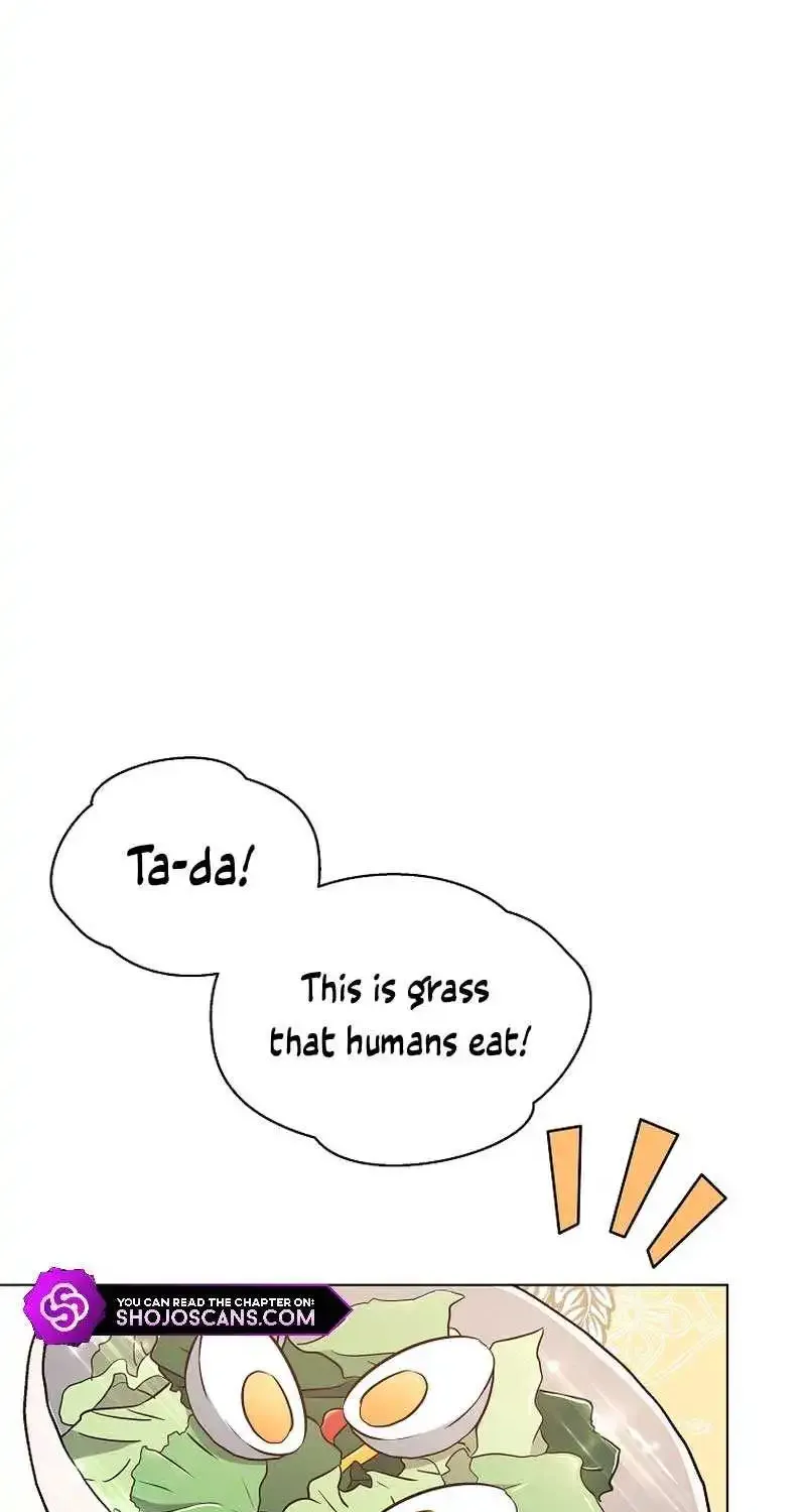Chapter 11 — page 71