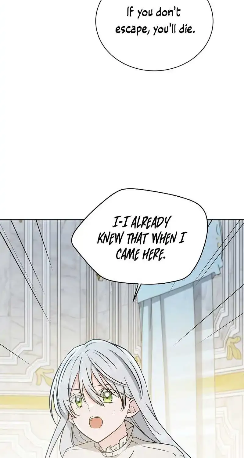 Chapter 13 — page 78
