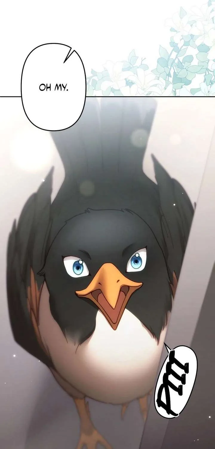 Chapter 5 — page 14
