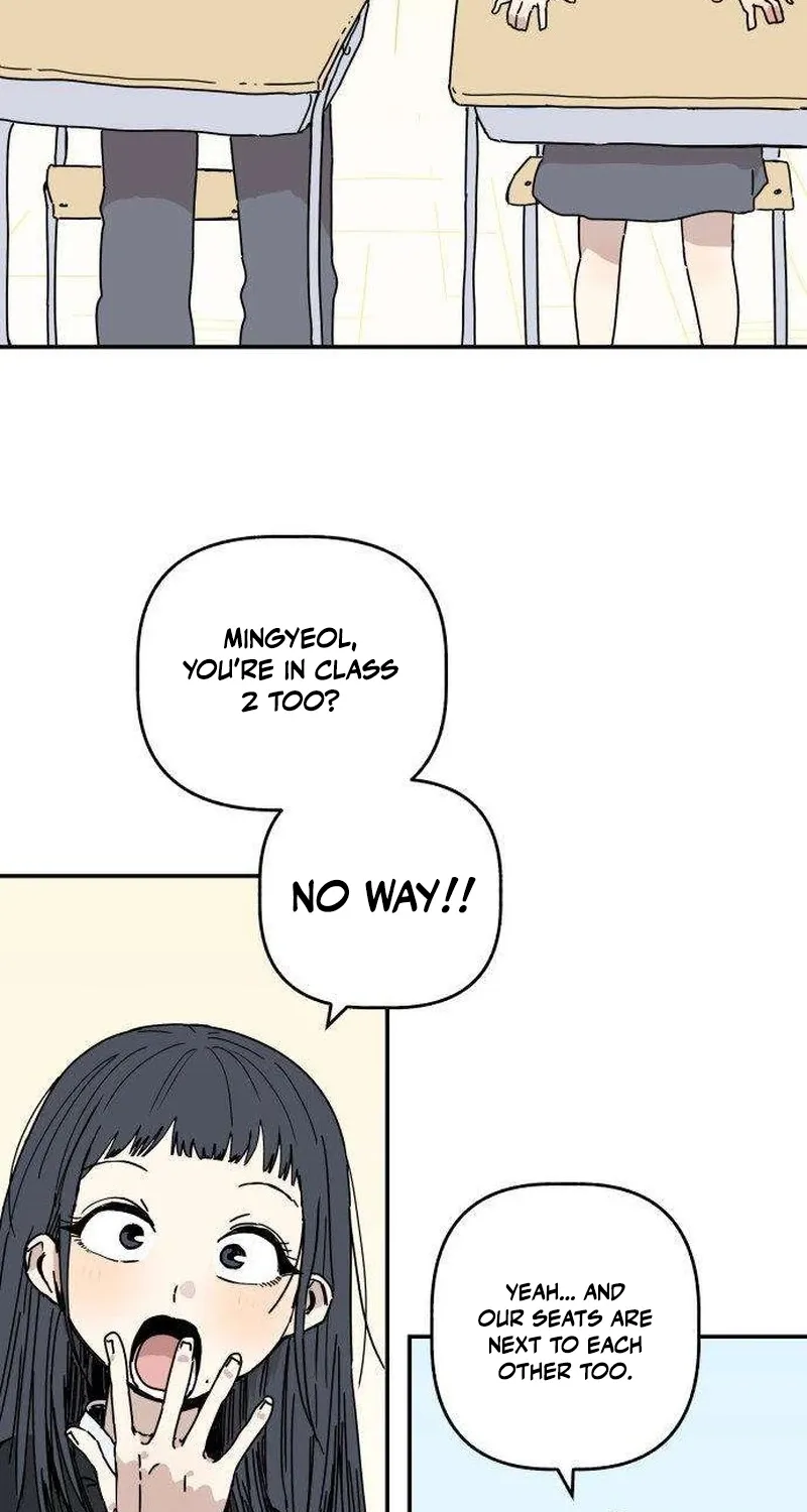 Chapter 2 — page 13