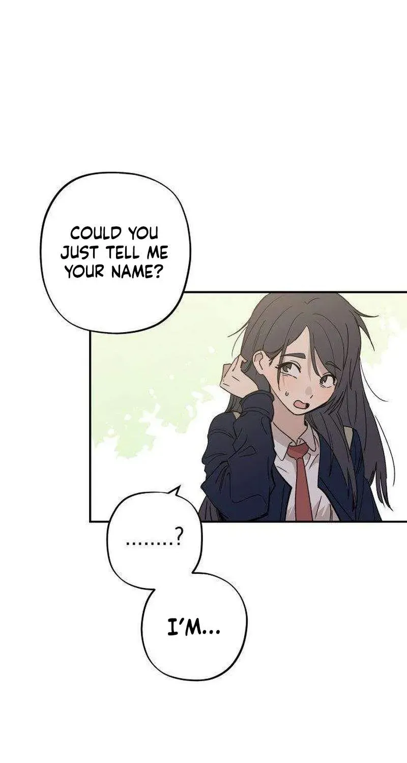 Chapter 15 — page 67