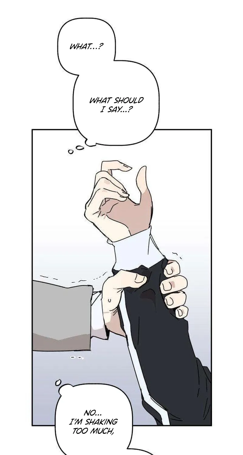 Chapter 3 — page 49