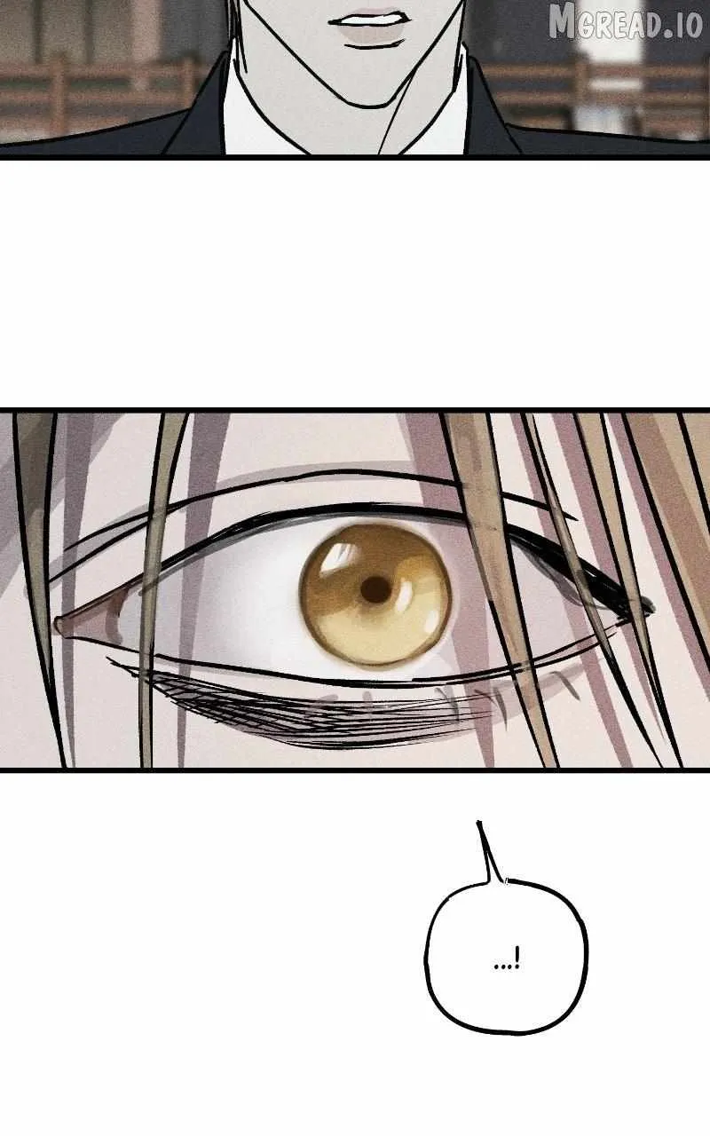 Chapter 34 — page 159