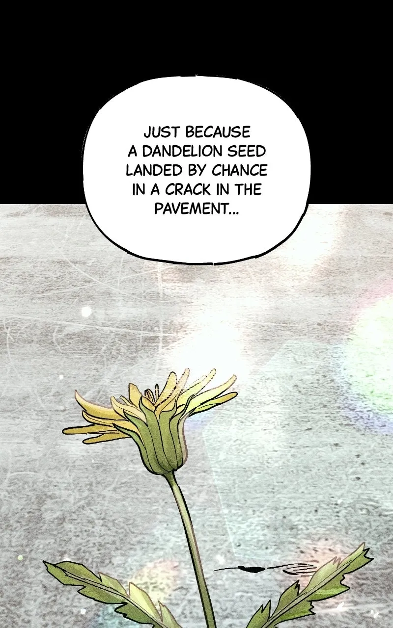 Chapter 51 — page 203