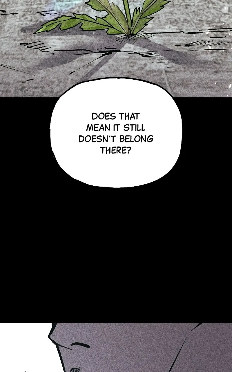 Chapter 51 — page 204