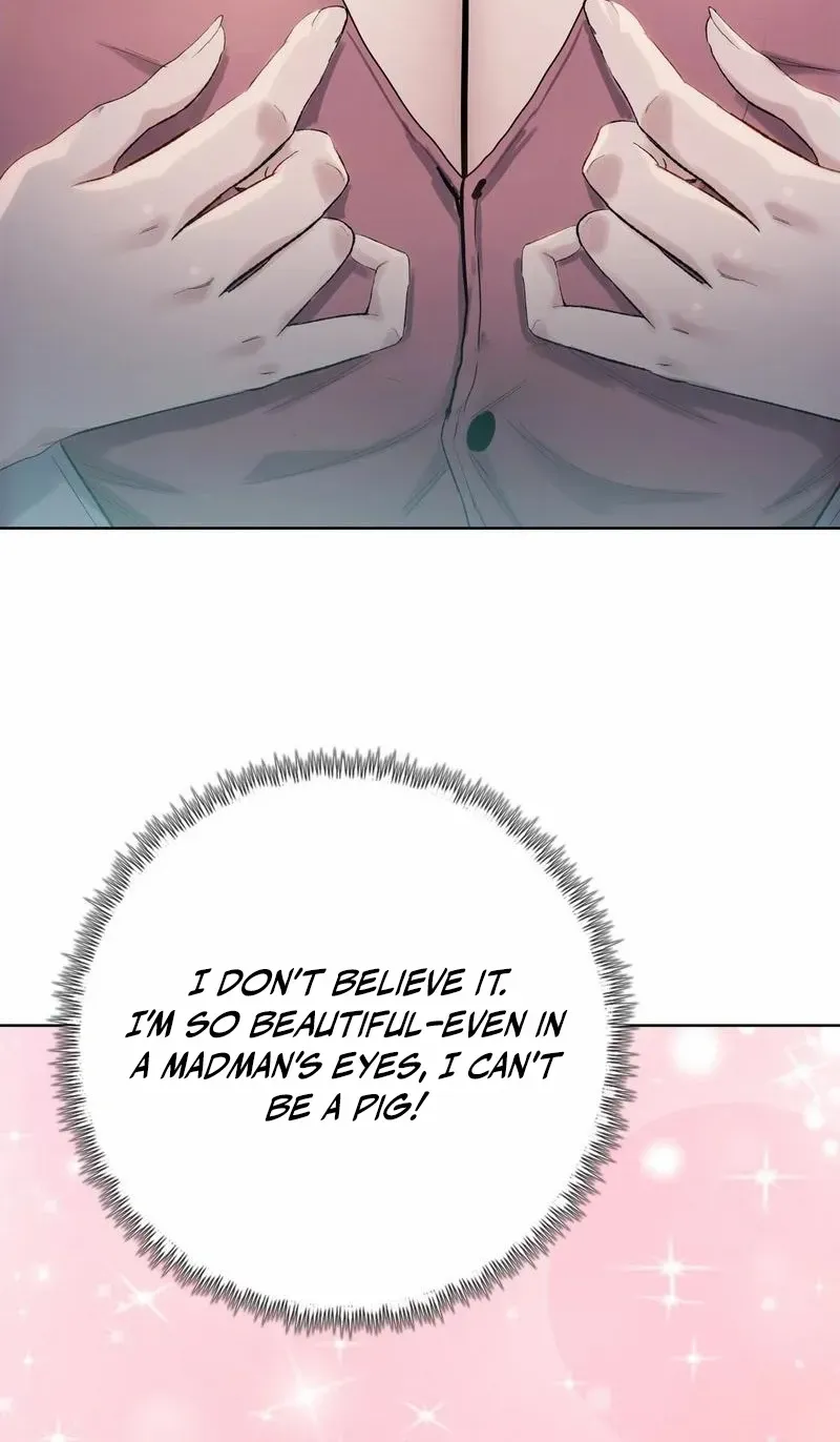 Chapter 1 — page 19