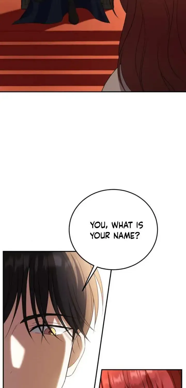 Chapter 3 — page 42