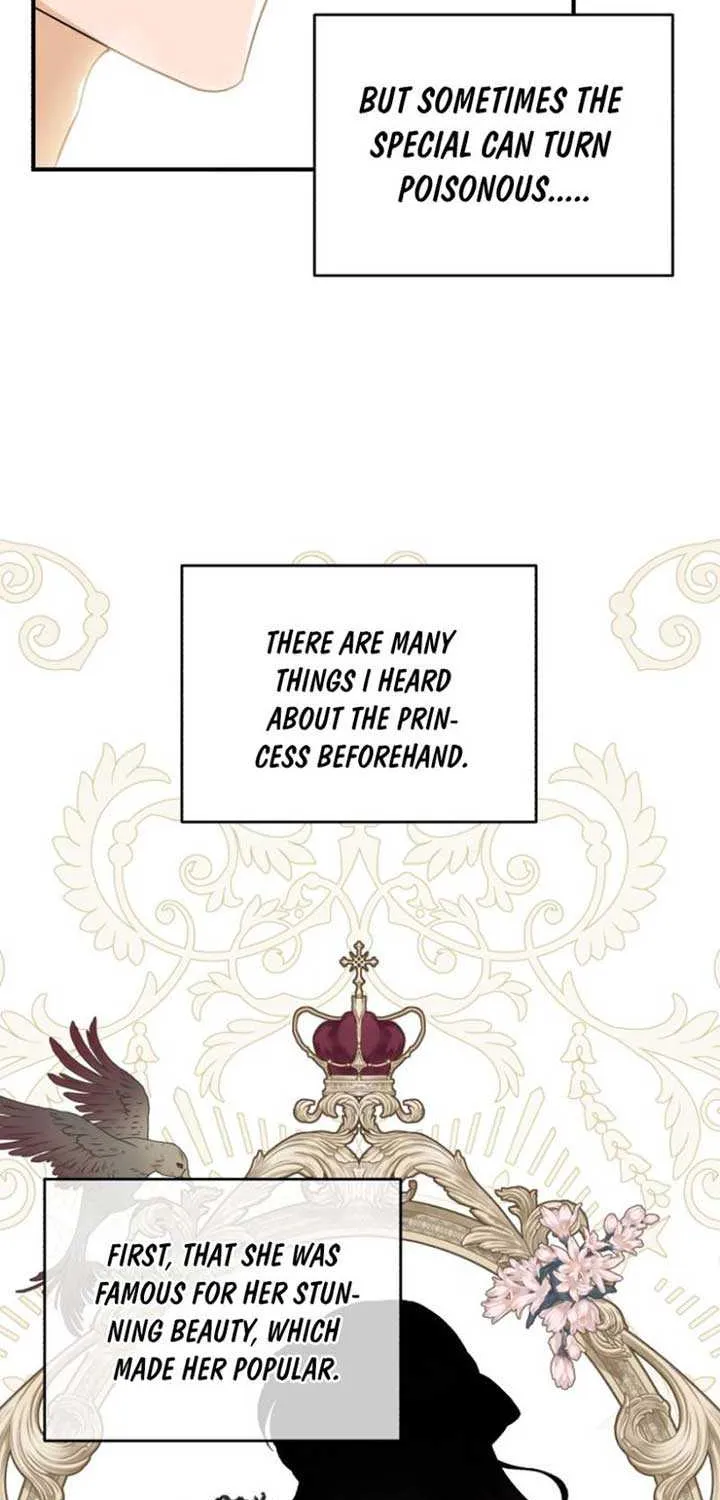 Chapter 24 — page 4