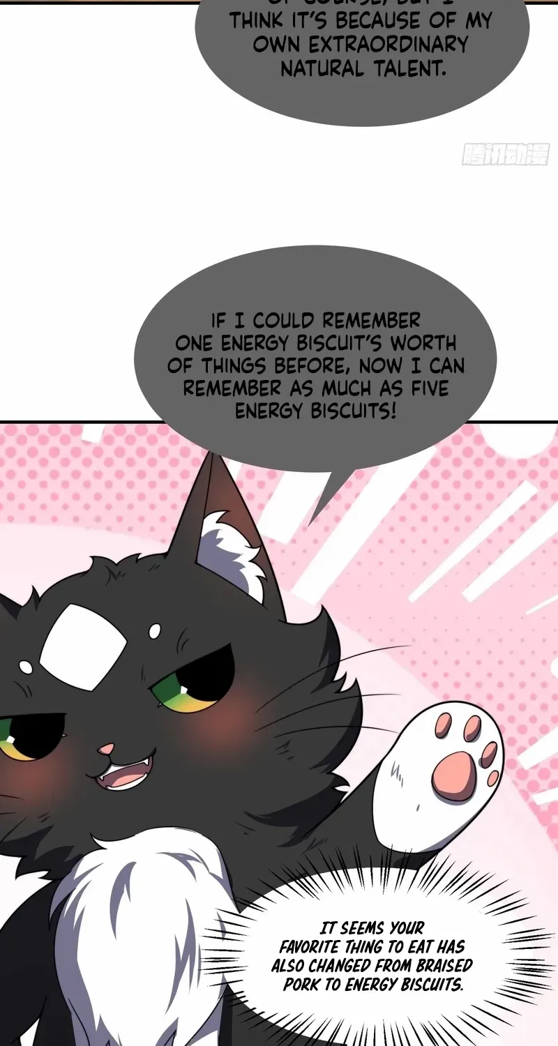 Chapter 12 — page 52