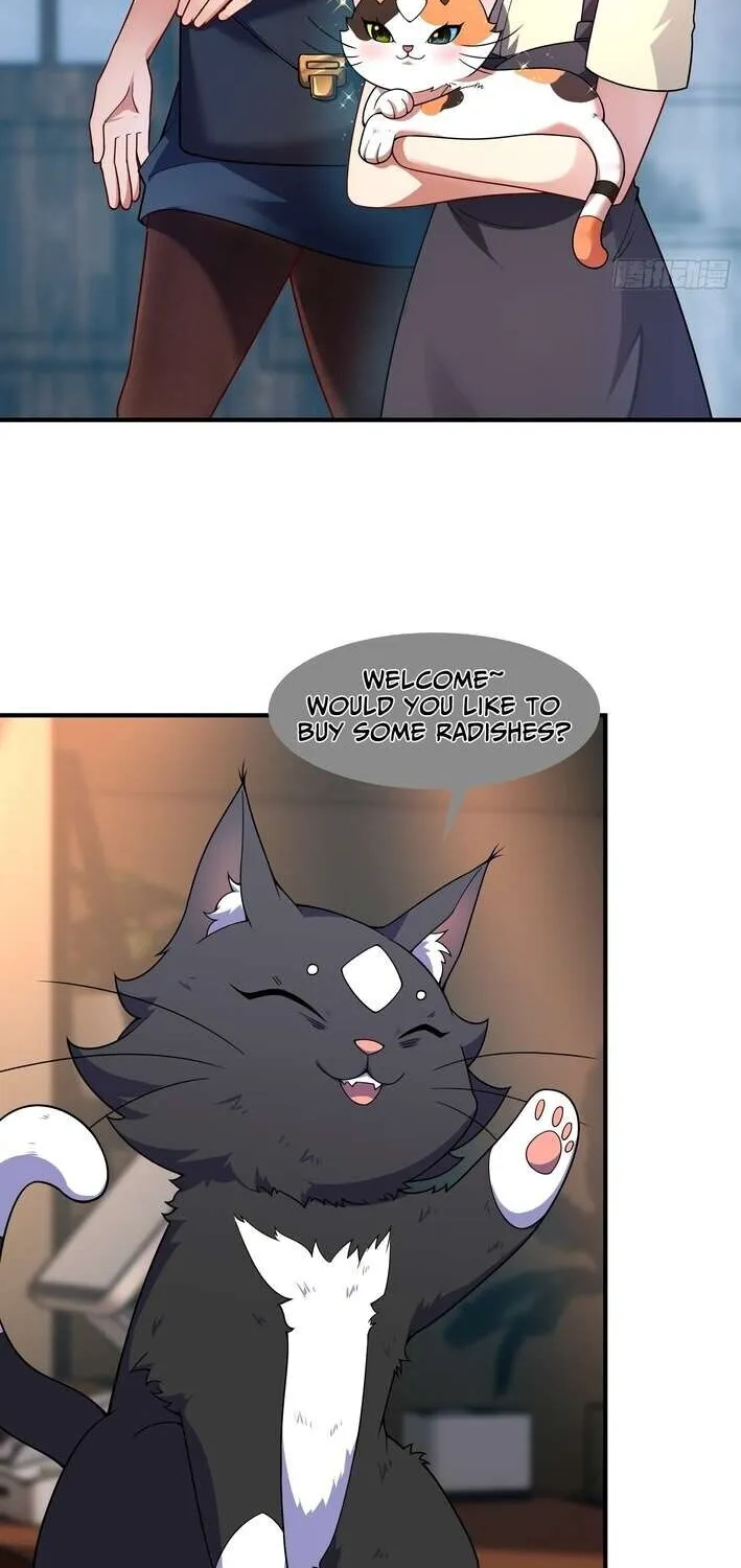 Chapter 3 — page 27