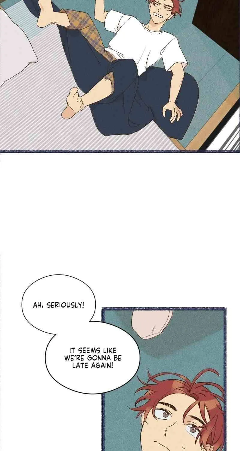 Chapter 1 — page 43
