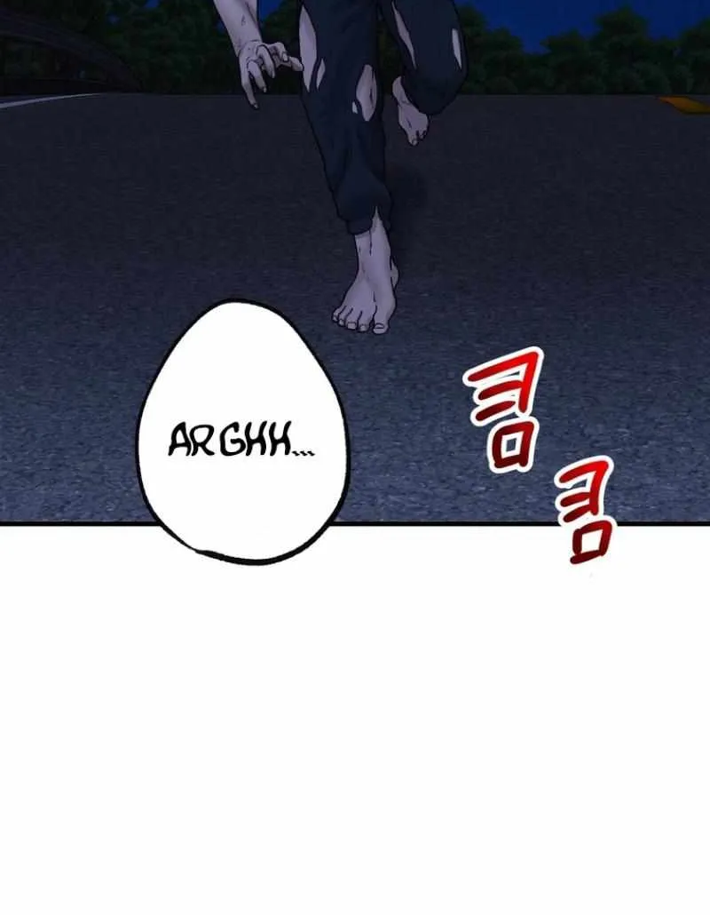 Chapter 17 — page 102