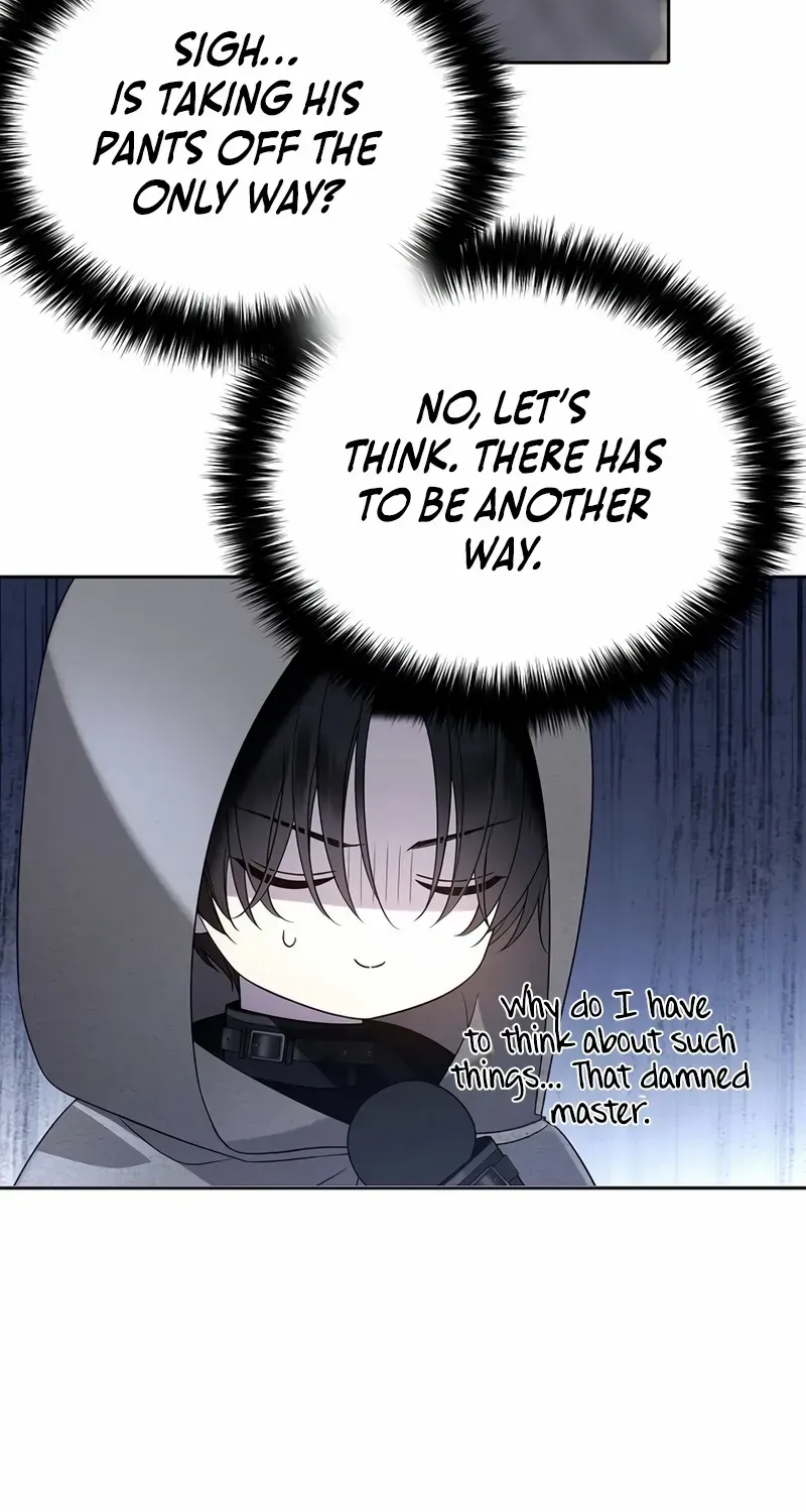 Chapter 5 — page 51