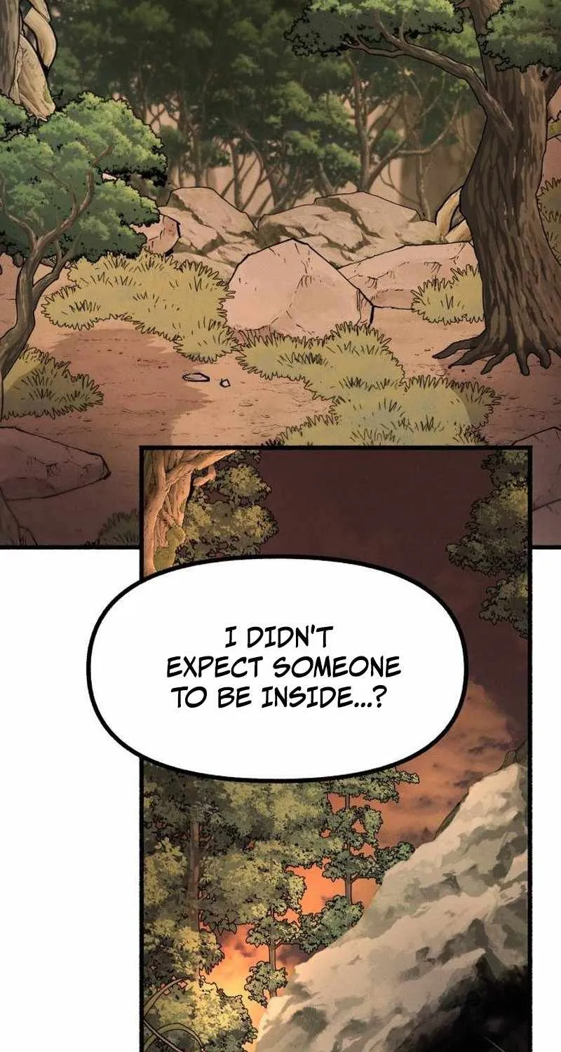 Chapter 3 — page 113