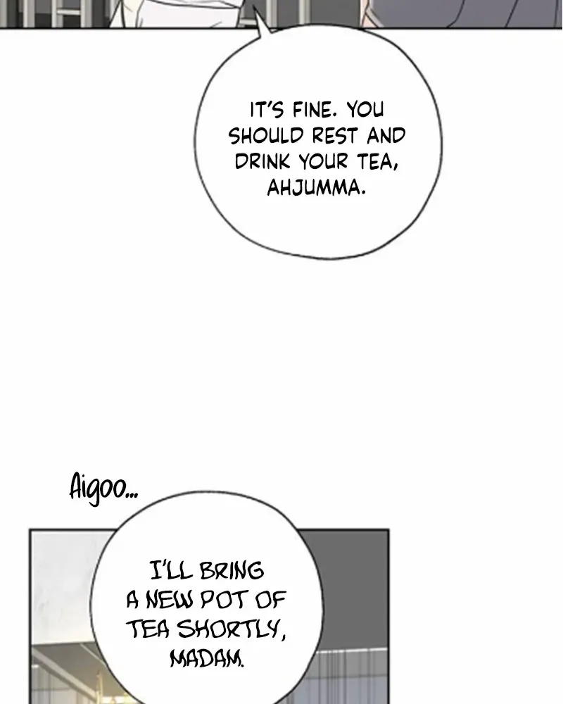 Chapter 17 — page 17