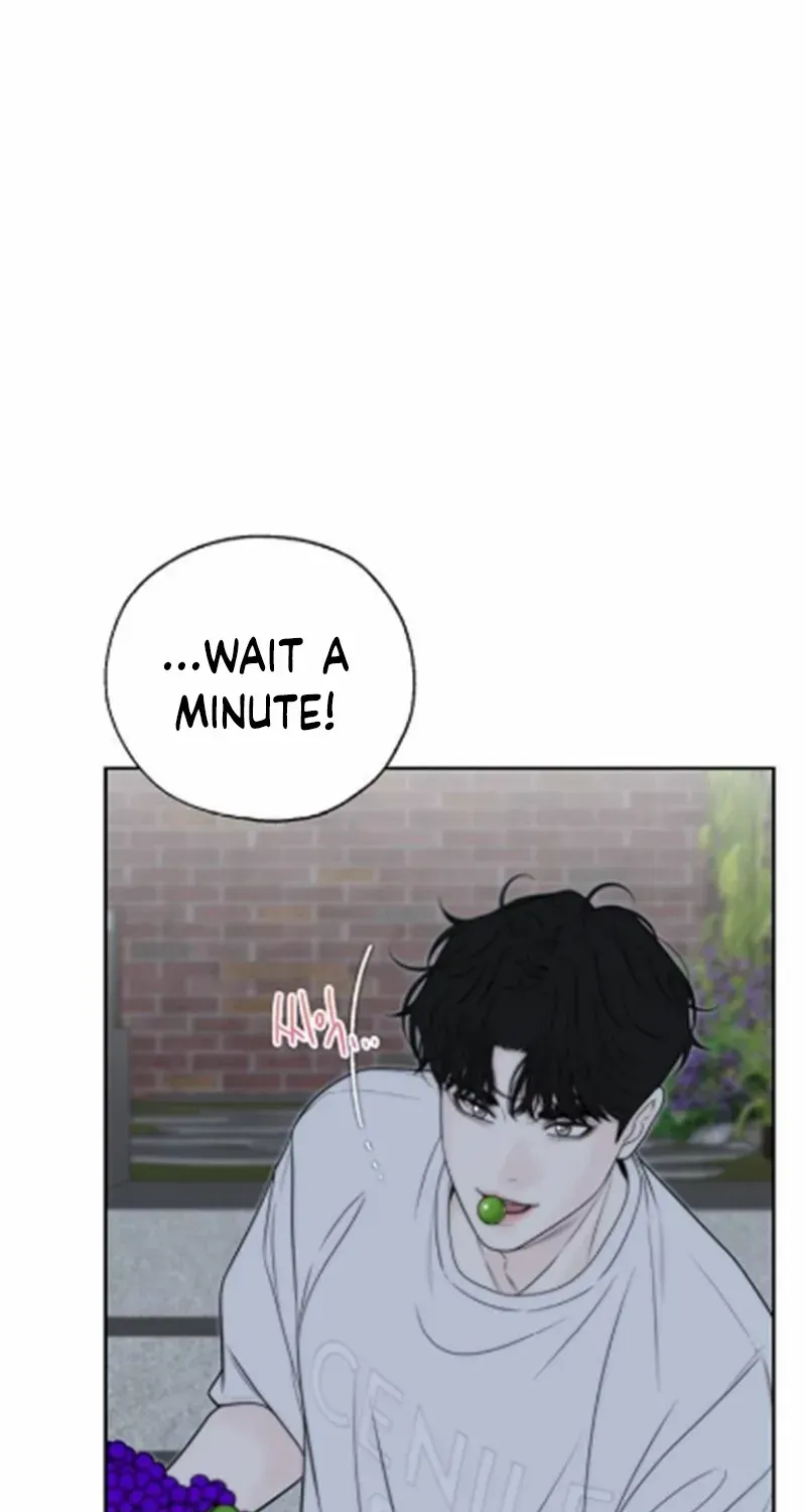 Chapter 17 — page 24