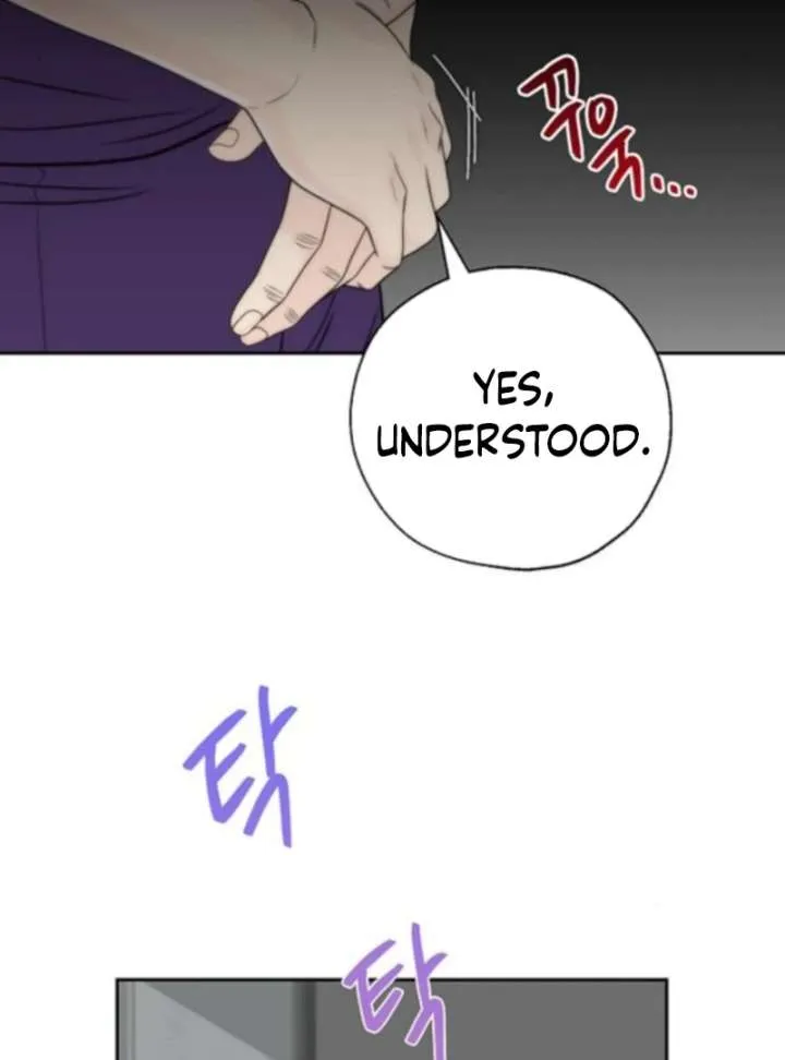 Chapter 26 — page 78