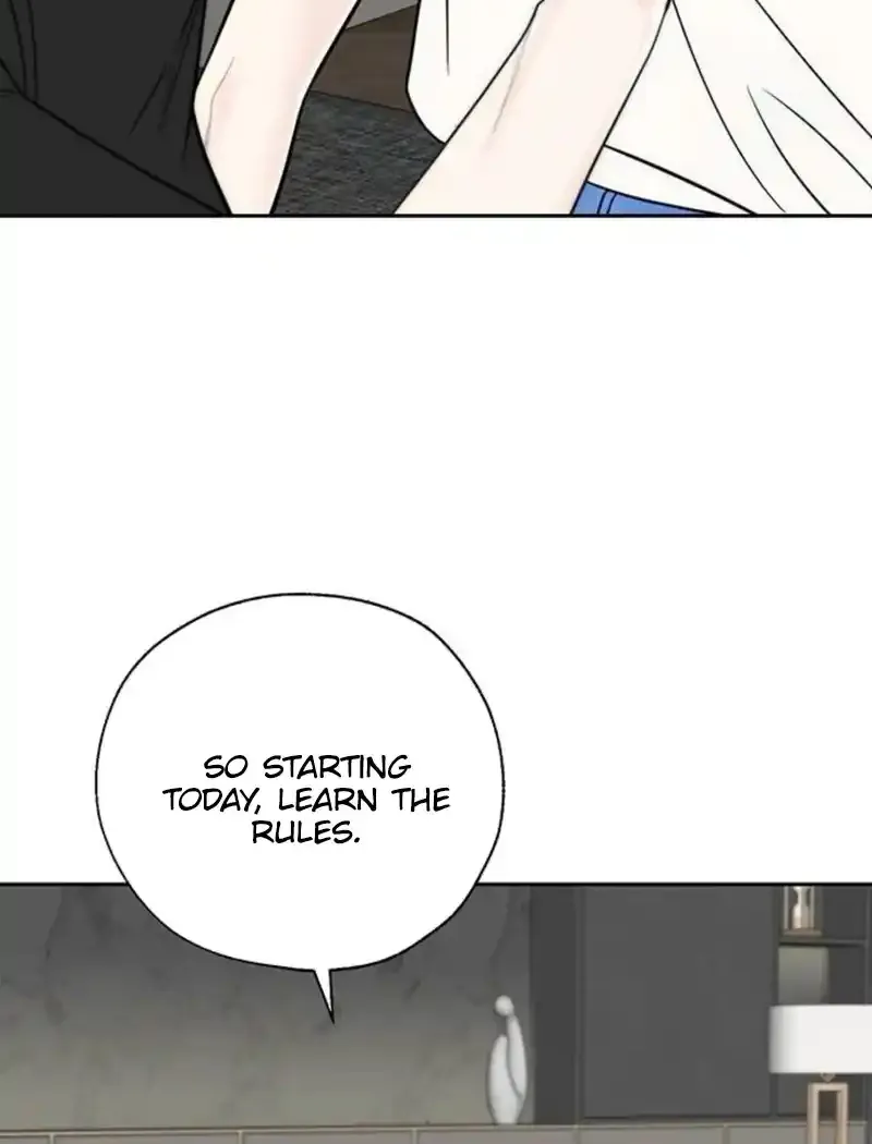 Chapter 4 — page 50
