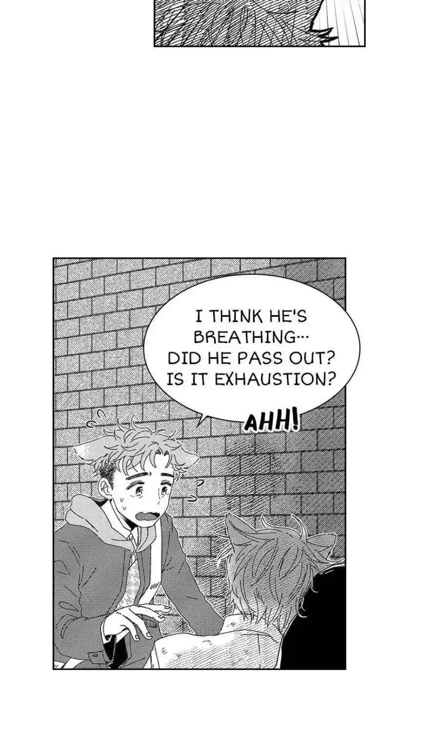 Chapter 62 — page 17