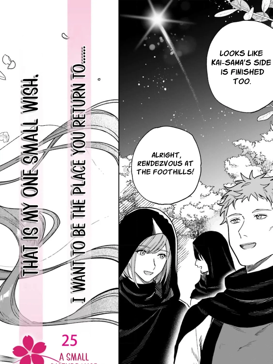 Chapter 25 — page 5