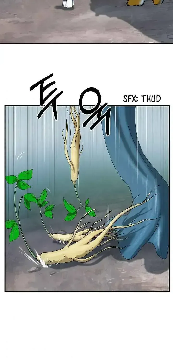 Chapter 2.3 — page 51