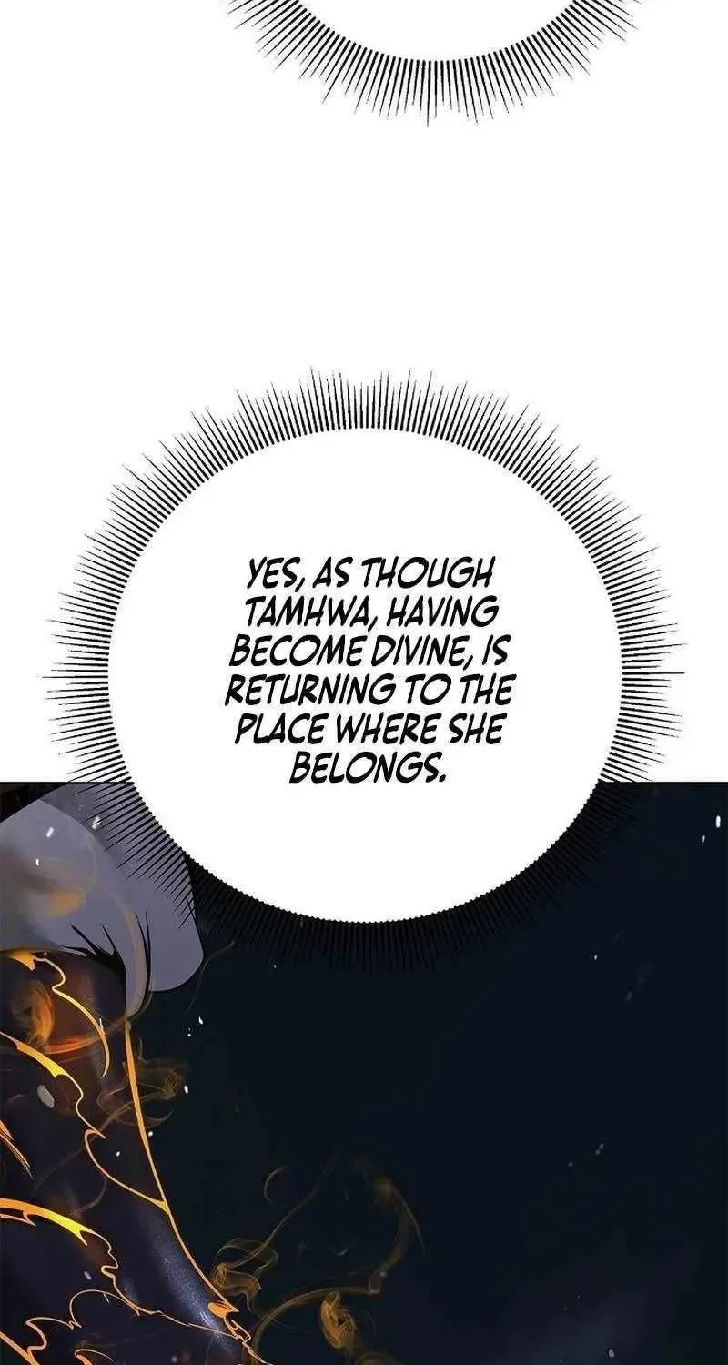 Chapter 243 — page 31