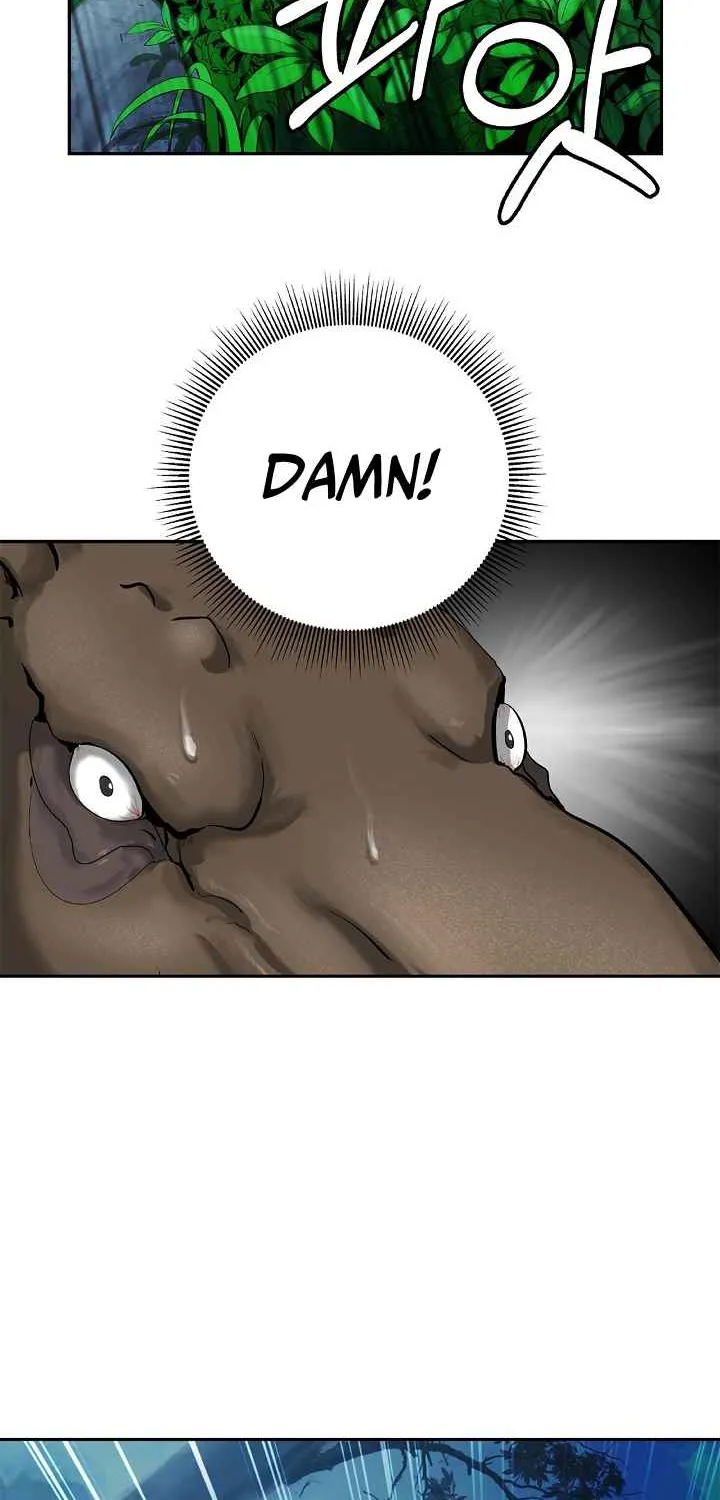 Chapter 17 — page 66