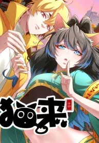 Cat came