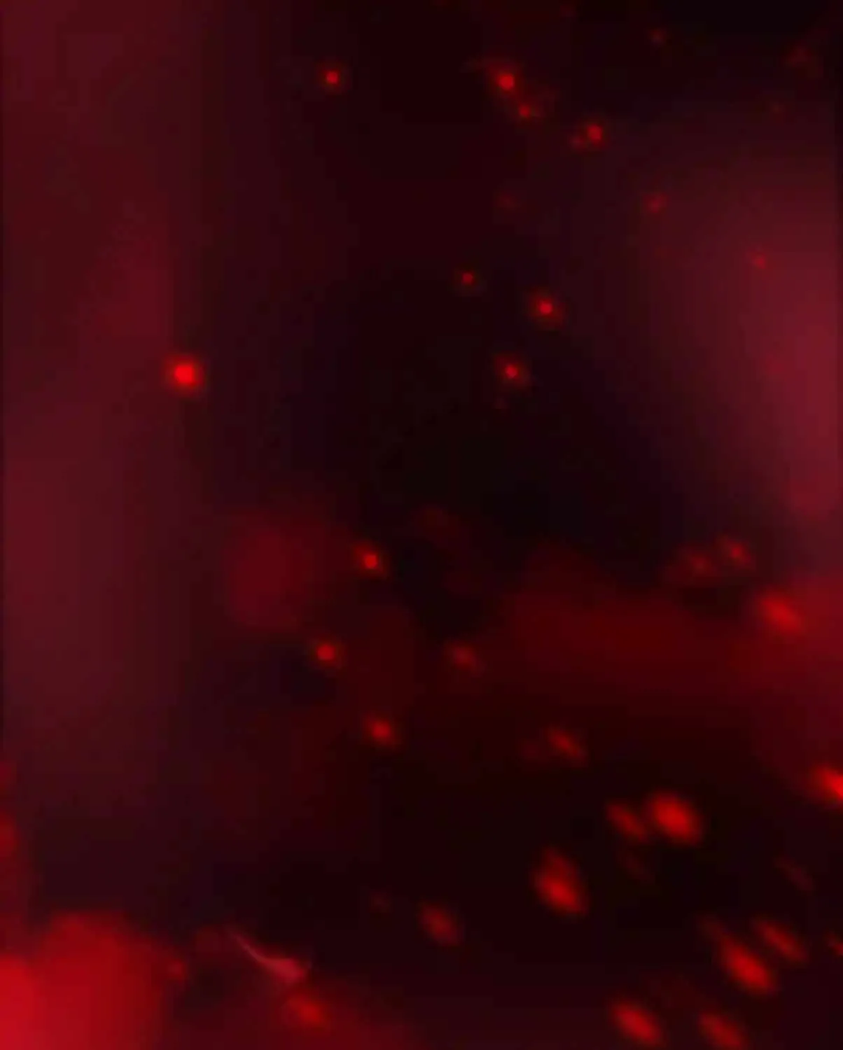 Chapter 303 — page 88