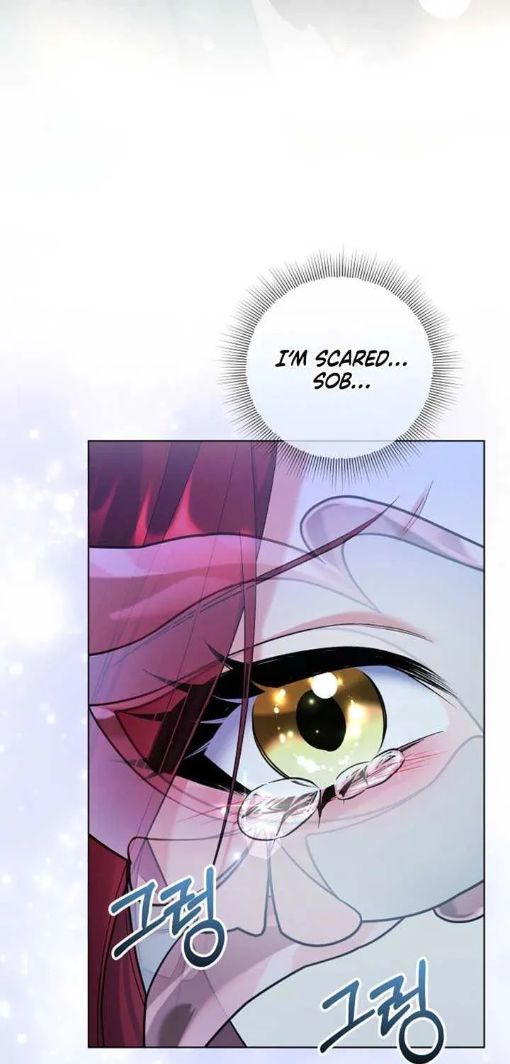 Chapter 41 — page 5