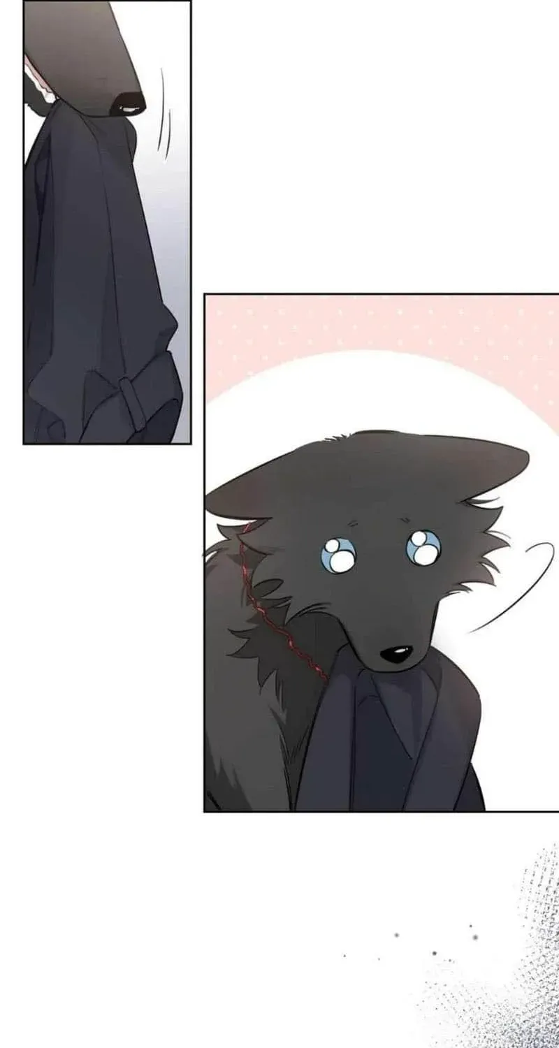 Chapter 3 — page 34