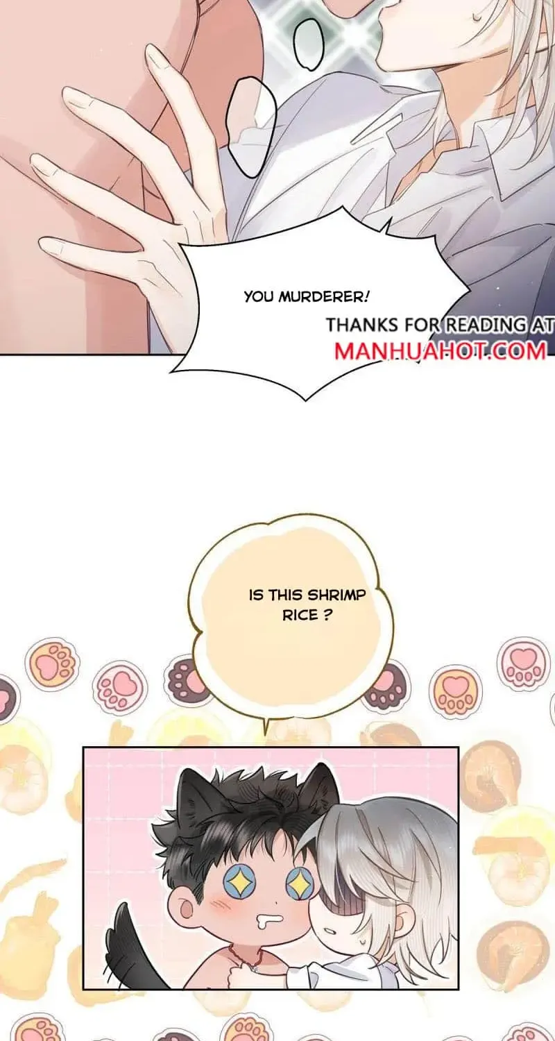 Chapter 5 — page 13